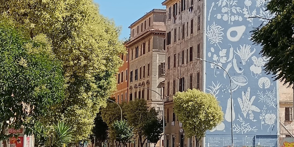 Tellas, Herbarium, 2019, Via di Acqua Bullicante 110, Roma