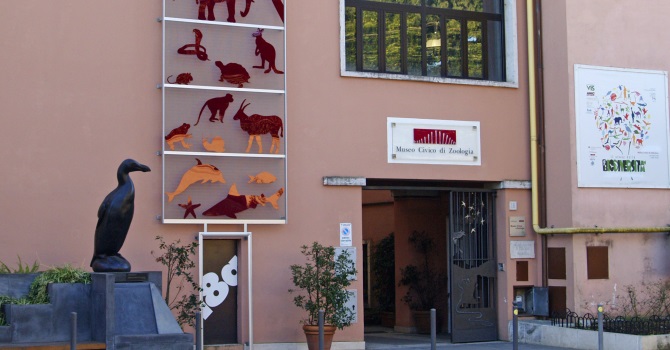 Museo Civico di Zoologia: ascensore temporaneamente fuori servizio