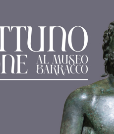 Statua del Nettuno di Lione Statua del Nettuno di Lione