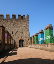 Color Theory - Amir Zainorin