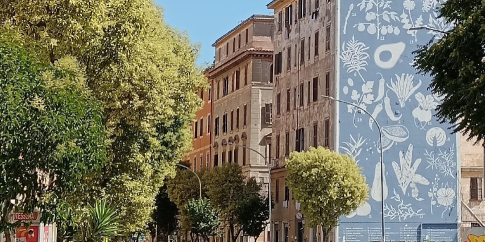 Tellas, Herbarium, 2019, Via di Acqua Bullicante 110, Roma