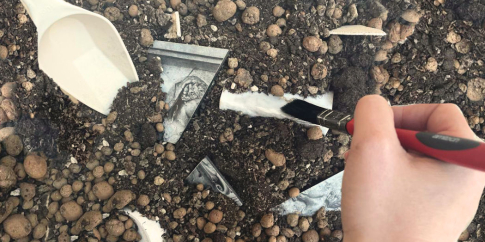 Giornate dell'Archeologia all'Ara Pacis