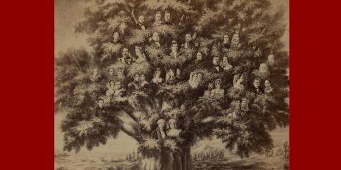 Victor Ribot, Riproduzione di genealogia della famiglia Bonaparte, albumina, 1850-70 ca., MN 7806 54