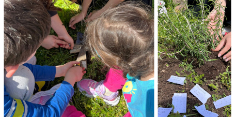 Giornata della Terra – Piantiamo il Futuro imparando dal Passato