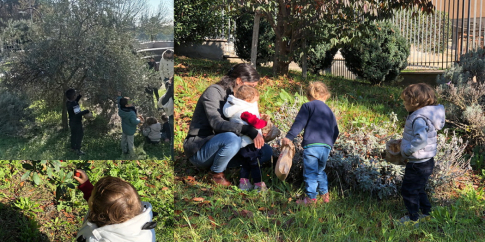 Bambini e adulti raccolgono olive, corbezzoli ed erbe aromatiche nel “Giardino Pleistocenico” del Museo di Casal de’ Pazzi