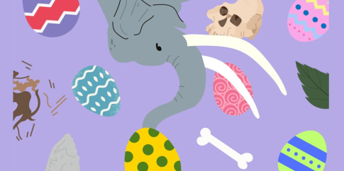 L’elefante di Casal de’ Pazzi e reperti fossili animali, vegetali e umani sono giocosamente mescolati con le uova di Pasqua della caccia al tesoro