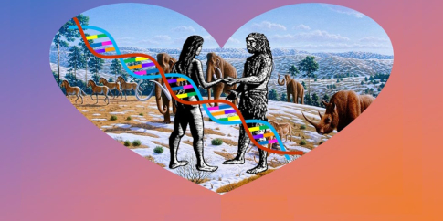 Una donna Sapiens e un uomo di Neanderthal si incontrano nel Pleistocene. La loro unione lascerà tracce nel DNA dell’umanità attuale