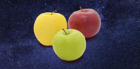 Tutta la verità sul problema dei tre corpi. Stabilità, risonanze, caos