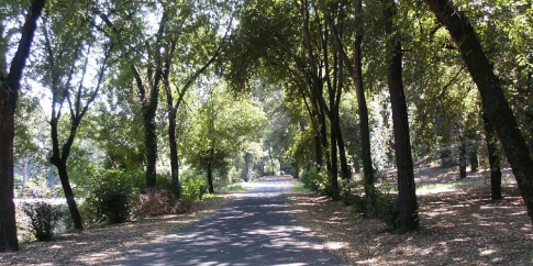 veduta del parco di S. Sebastiano