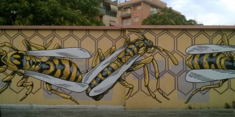 Lucamaleonte, Nido di vespe, 2014, Roma, via del Monte del Grano 