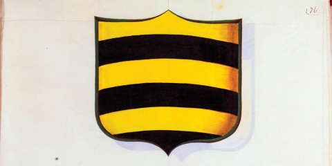 La famiglia Ceva: una storia romana del XVII secolo La famiglia Ceva: una storia romana del XVII secolo