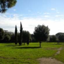 Villa Flora, panoramica parco