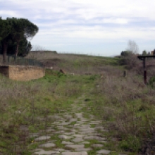 Area Archeologica di Settecamini veduta del tratto basolato della via tiburtina