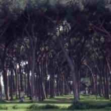 Il parco del Pineto Sacchetti