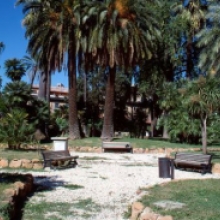Villa Aldobradini,  scorcio del giardino