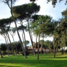 Villa Carpegna, veduta del parco
