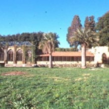 Foto del giardino delle serre ottocentesche